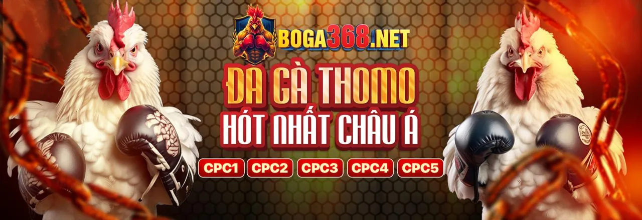 Đá Gà Trực Tuyến fiv88 win - Sân Đấu Kịch Tính